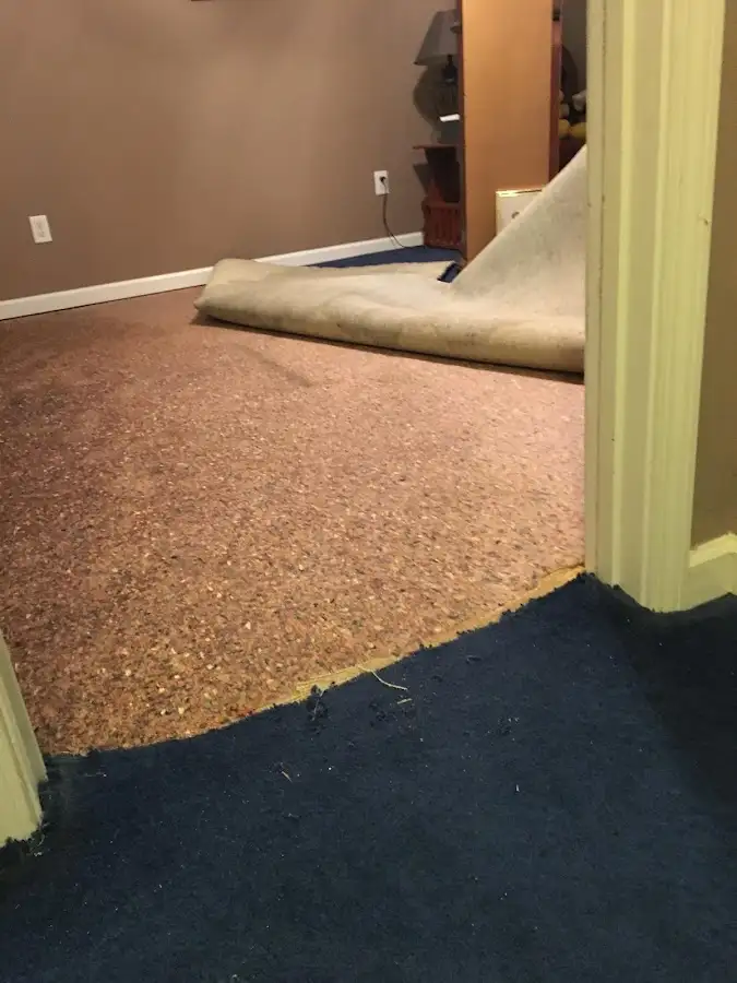 Carpet pad removal revealing water damage during Drying & Dehumidification in Artondale
