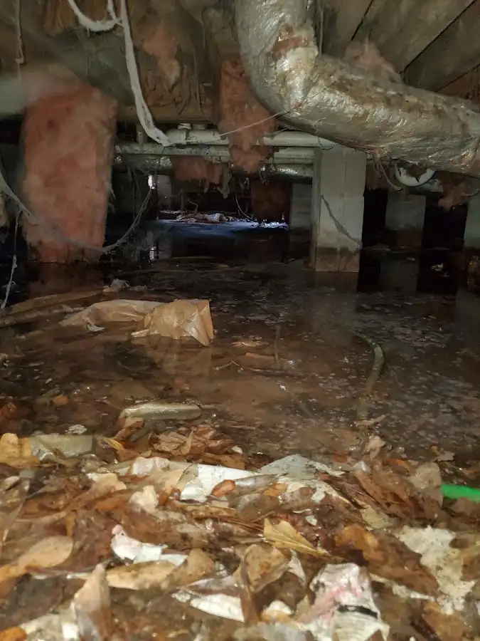 Crawl space flood assessment for Commercial Water Damage Restoration in Artondale