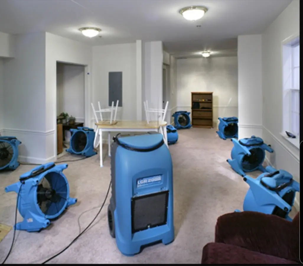 Air movers and dehumidifier setup for Water Extraction & Removal in Artondale